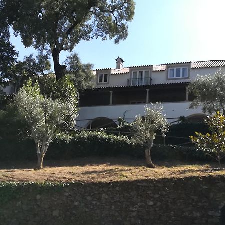 Vila Casa Ribeira De Pera Castanheira de Pera Exteriér fotografie