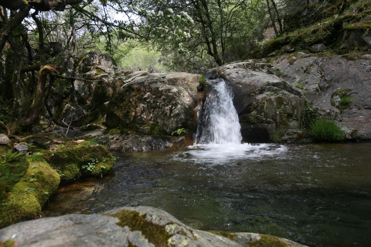 Vila Casa Ribeira De Pera Castanheira de Pera Exteriér fotografie